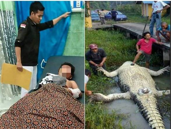 Mãe mergulha cerca de 15 metros em rio cheio de crocodilos para salvar filho