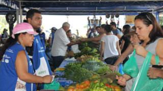 ADS reestrutura atendimento do Balcão de Agronegócios