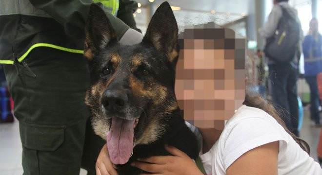 Cadela farejadora 'Sombra' é jurada de morte por traficantes
