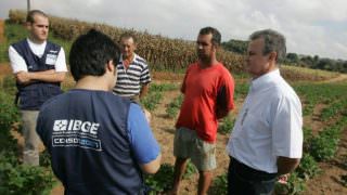 IBGE divulga Censo apontando o aumento da agricultura amazonense