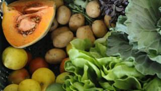 Governo lança linha de R$ 3 milhões contra desperdício de alimentos