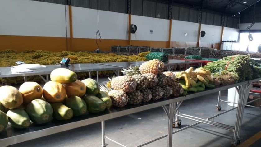Programa de Regionalização da Merenda  do AM tem qualidade atestada