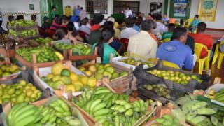 Programa destina 10 toneladas de alimentos agrícolas para entidades filantrópicas do AM
