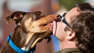 Homem tem pernas e mãos amputadas após contrair bactéria de saliva de cachorro