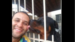 Carteiro amigo de cachorros viraliza na web ao postar selfies com os amigos