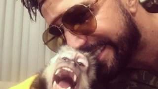Macaca Ana Paula dá um tapa na cara de Latino; veja vídeo