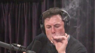 Elon Musk fuma maconha e bebe uísque durante entrevista ao vivo