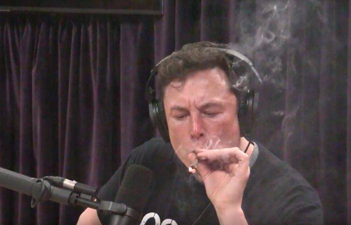 Elon Musk fuma maconha e bebe uísque durante entrevista ao vivo