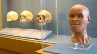 Pesquisadores encontram crânio de Luzia nos escombros do Museu Nacional