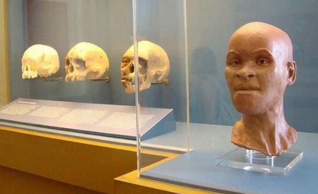 Pesquisadores encontram crânio de Luzia nos escombros do Museu Nacional