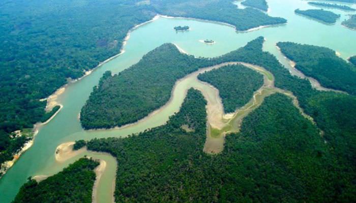Veja as propostas dos candidatos à Presidência para o meio ambiente