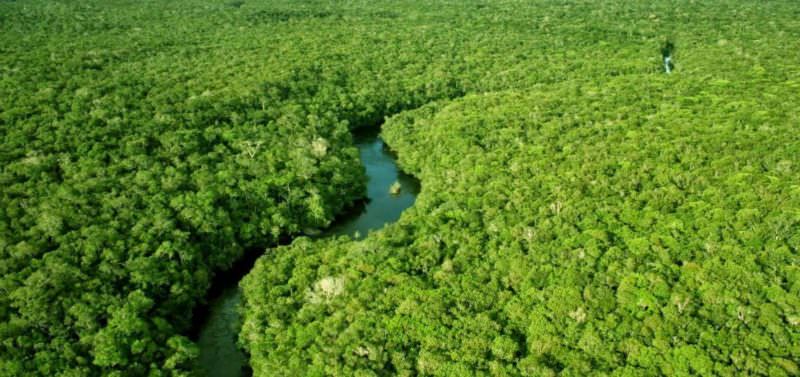 Desmatamento na Amazônia Legal cresce 13,7% e é o maior desde 2008