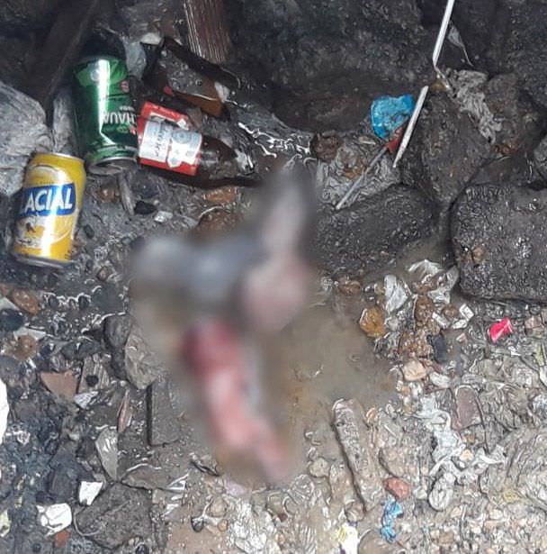 Moradores encontram feto jogado em bueiro na zona Leste de Manaus