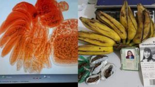 Mulher tenta entrar em presídio com droga dentro de bananas