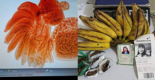 Mulher tenta entrar em presídio com droga dentro de bananas