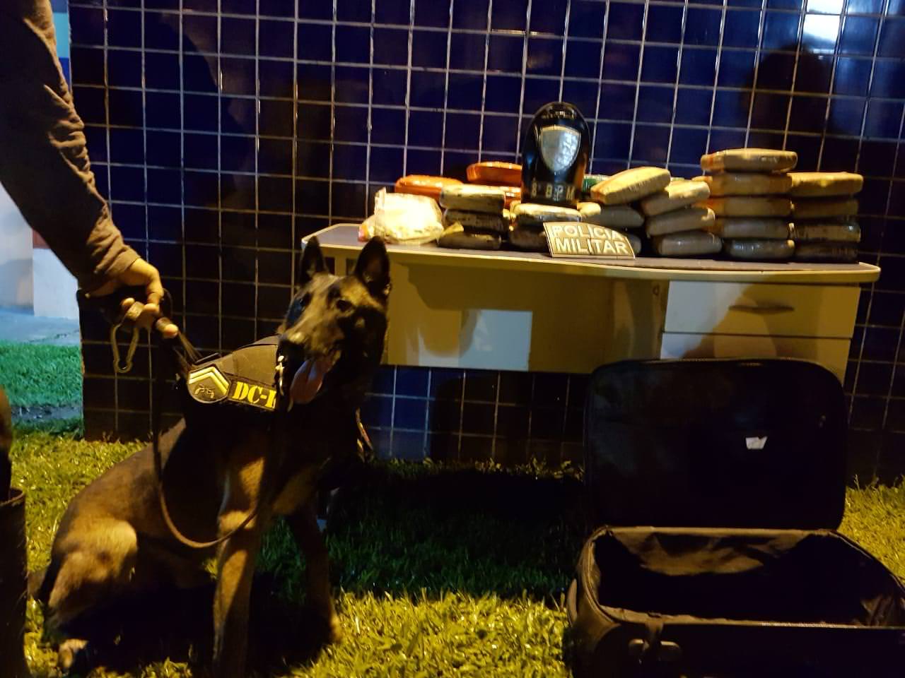 PM apreende 49 kg de drogas em Tabatinga com ajuda de cães