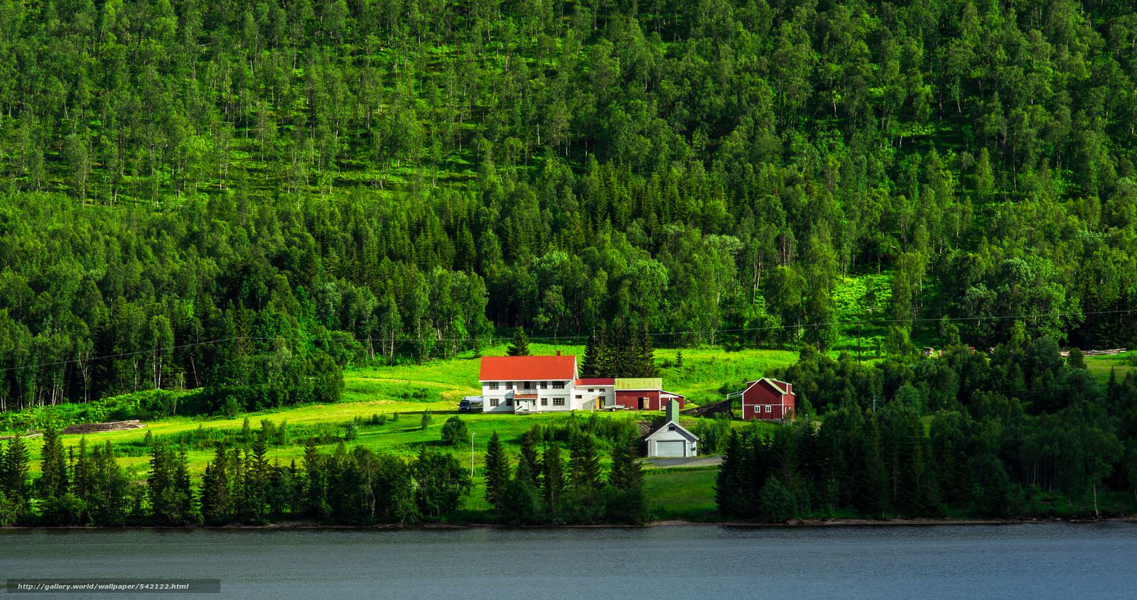 Noruega é o primeiro país do mundo a proibir o corte de árvores