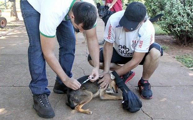 Aprovados em Processo Seletivo são convocados pela Prefeitura