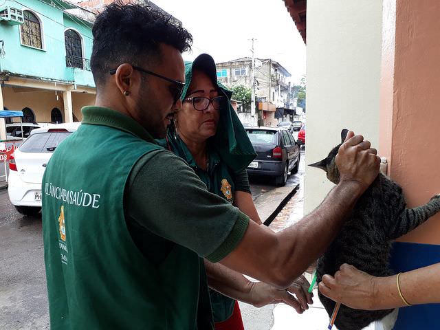 Equipes de vacinação antirrábica atuam em mais 10 bairros