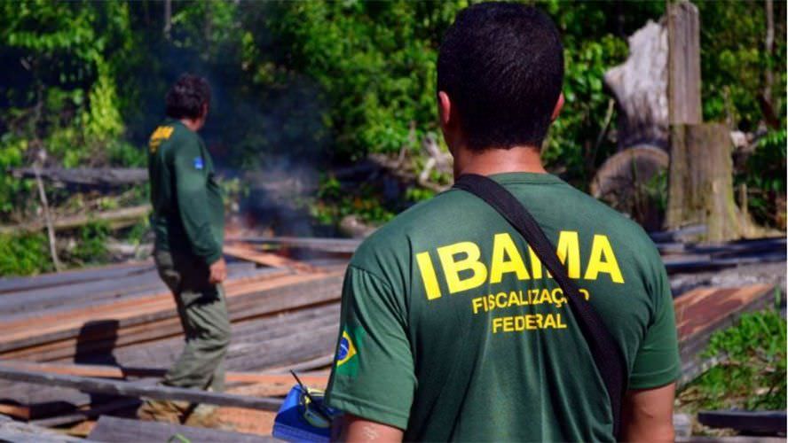 Ibama: inscrições para 460 vagas de concurso estão abertas