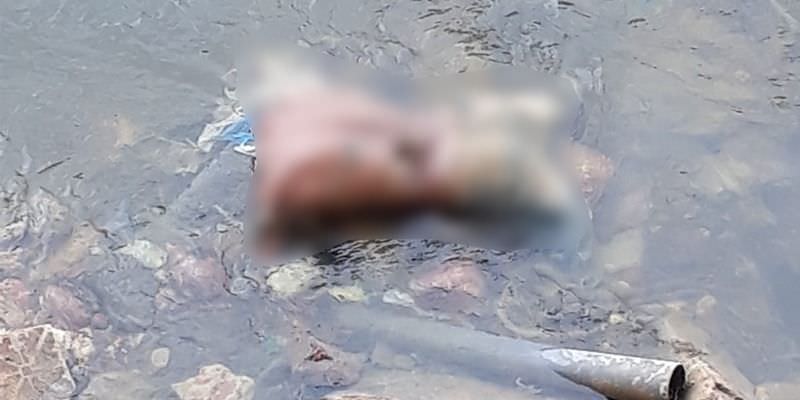 Corpo decapitado é encontrado nas margens de igarapé no São Jorge