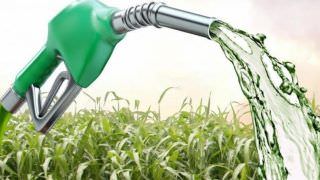 Fazenda defende venda direta de etanol do produtor para os postos