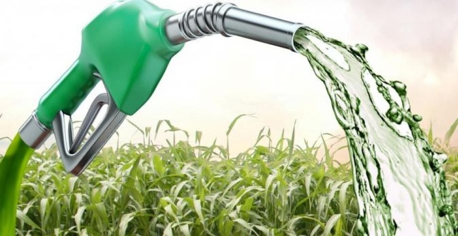 Fazenda defende venda direta de etanol do produtor para os postos