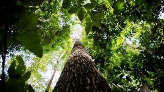 Meio ambiente é essencial para cidades inteligentes, aponta estudo