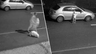 Cão fica desesperado ao perceber que dono vai abandoná-lo na rua; veja vídeo