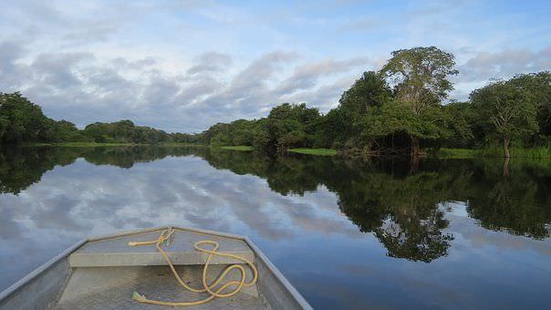 Estudo revela falta de transparência sobre terras públicas no Amazonas