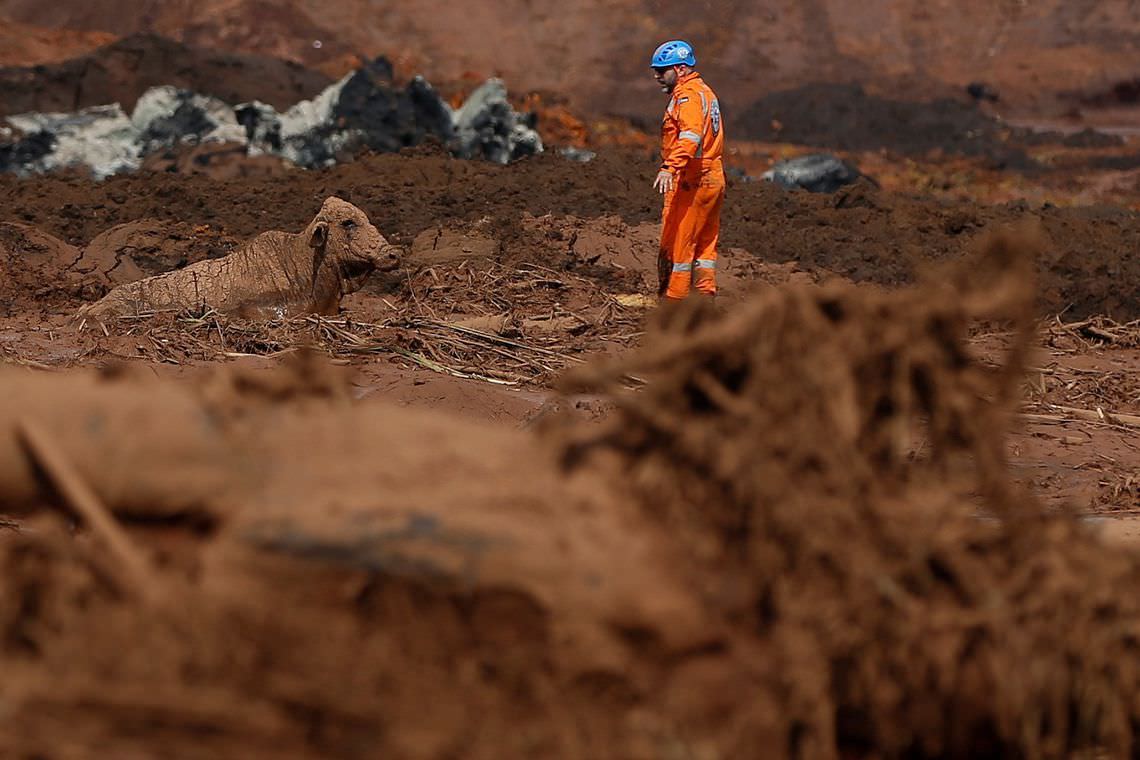 Vale admite que monitoramento em Brumadinho não funcionou