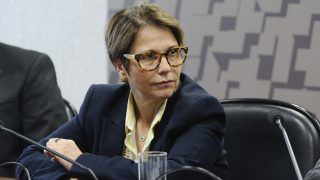 Tereza Cristina anuncia que ruralista comandará Serviço Florestal Brasileiro