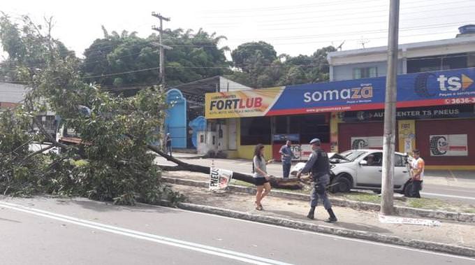 Motorista de aplicativo dorme no volante, derruba árvore e deixa dois feridos