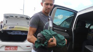 Filhote de peixe-boi é resgatado em Nhamundá e trazido até Manaus