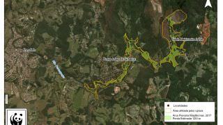 Ruptura de barragem em Brumadinho causou perda de 125 hectares de florestas