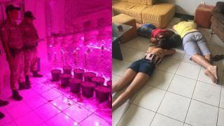 Maconha medicinal é estrela de festival na Tailândia
