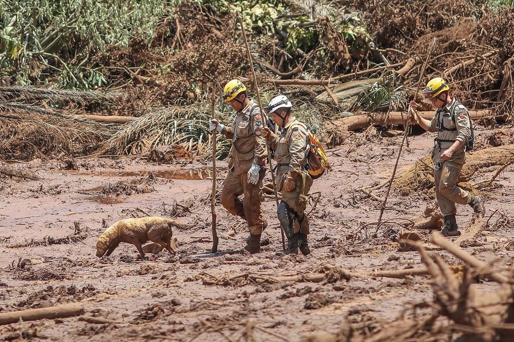 Governo de MG e Vale assinam acordo de R$ 37 bilhões por desastre em Brumadinho