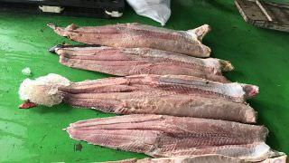 Mais de três toneladas de pescado são apreendidas em embarcação vinda de Tapauá