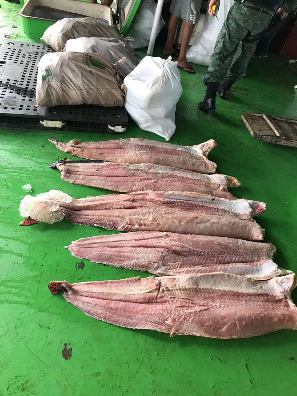 Mais de três toneladas de pescado são apreendidas em embarcação vinda de Tapauá