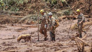 Governo de MG e Vale assinam acordo de R$ 37 bilhões por desastre em Brumadinho