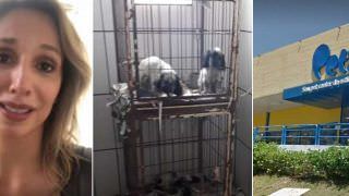 Luisa Mell é ameaçada de morte após resgatar 1,5 mil cães