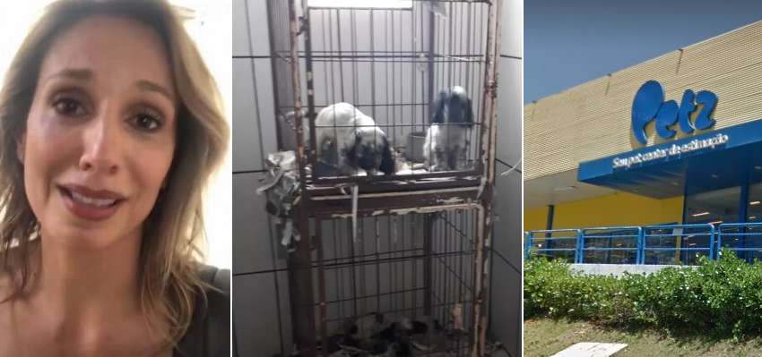Luisa Mell é ameaçada de morte após resgatar 1,5 mil cães