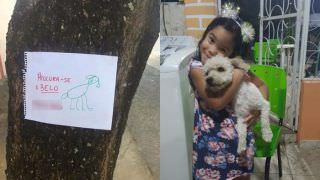 Menina de 4 anos faz cartazes à mão para encontrar cãozinho perdido