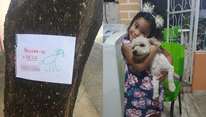 Menina de 4 anos faz cartazes à mão para encontrar cãozinho perdido
