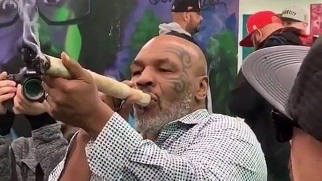 Mike Tyson é flagrado fumando tora de maconha em festival; veja