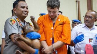 Turista russo é detido em aeroporto com orangotango na mala