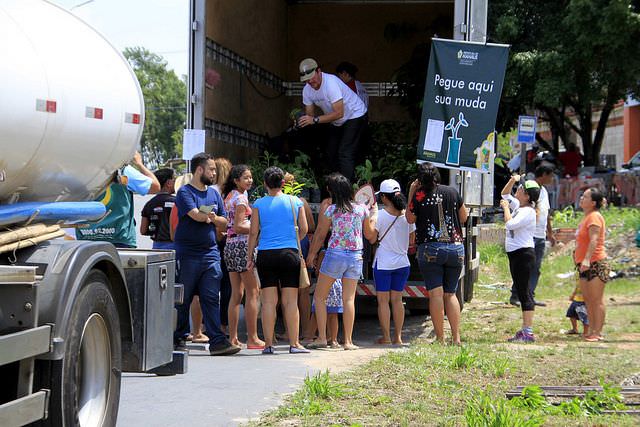Pedágio vai distribuir 1,8 mil mudas frutíferas e medicinais em Manaus