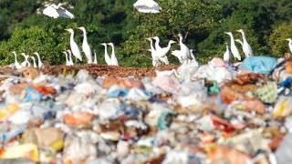 MP vai apurar degradação ambiental por lixão a céu aberto em Barcelos