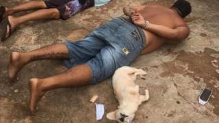 Fiel companheira, cachorrinha ‘se entrega’ durante prisão do dono por tráfico