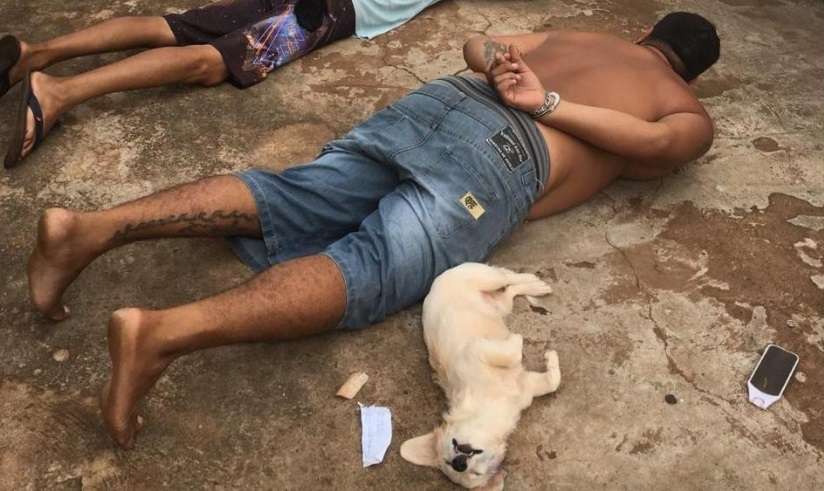 Fiel companheira, cachorrinha ‘se entrega’ durante prisão do dono por tráfico